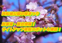 浜松城公園の桜まつり2020駐車場・屋台情報！ライトアップ夜桜スポットも確認！