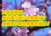 大阪造幣局桜の通り抜け2020の期間は？最寄駅や屋台情報を確認！
