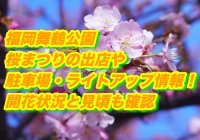 福岡舞鶴公園桜まつり2020出店や駐車場・ライトアップ情報！開花状況と見頃も確認