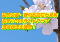 弘前公園・城の桜2020開花と見頃！桜まつりのライトアップや混雑状況を確認！